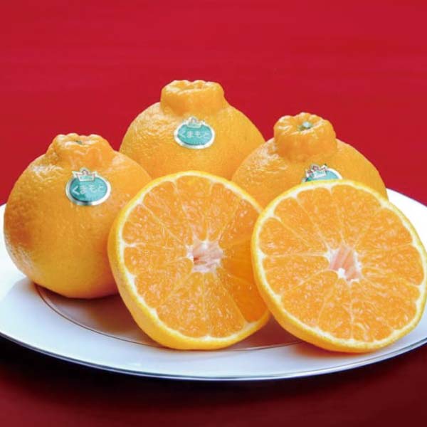 熊本県産 晩白柚・デコポンセット(お届け期間：11/11〜12/30)【冬の贈りもの・お歳暮】　商品画像1