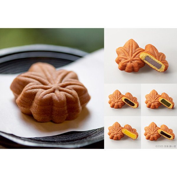 広島 藤い屋 もみじまんじゅう 5種詰合せ【冬の贈りもの・お歳暮】【NN】 商品画像1