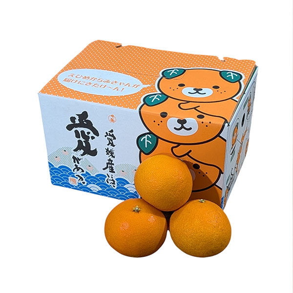 愛媛県産(JAえひめ中央) あいか 2.8kg【限定1000点】【お届け期間：11月20日〜12月28日】【ブラックフライデー】　商品画像1