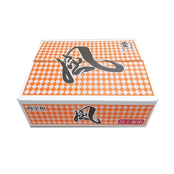 愛媛県産(JAにしうわ 川上共撰) 風みかん 5kg【限定800点】【お届け期間:11月20日〜12月28日】【ブラックフライデー】 商品画像1