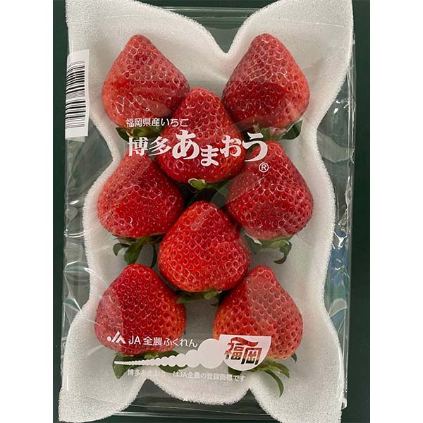 福岡県産 いちご 博多あまおう 250g×2【限定1000点】【お届け期間：12月1日〜12月20日】【ブラックフライデー】　商品画像1