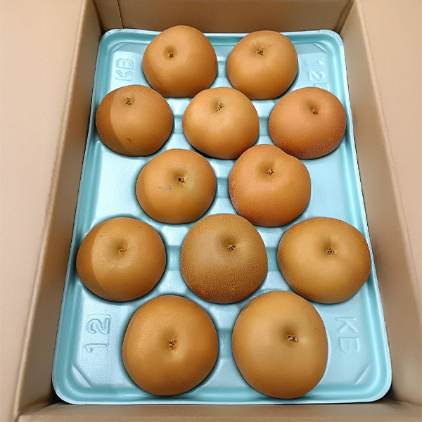 長野県産 あきづき梨 計5kg 12〜14玉【お届け期間:10月4日〜10月20日】【NN】　商品画像1