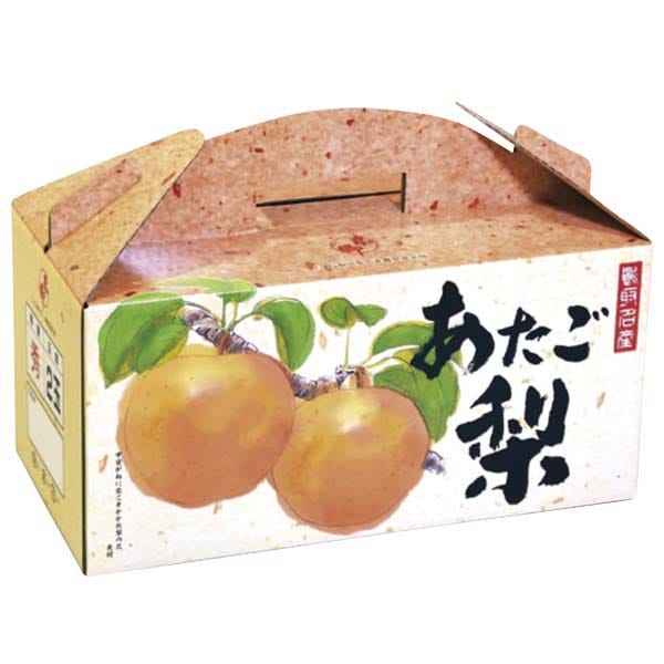 鳥取県産(JA鳥取中央)東郷のあたご梨計2.5kg以上・2玉入り【お届け期間:12月2日〜12月23日】【旬鮮便】【NN】 商品画像1