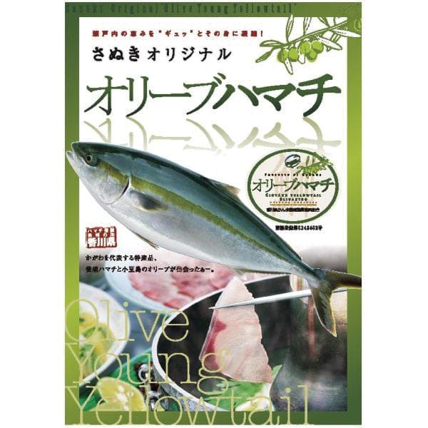 香川県漁業協同組合連合会 オリーブはまち(養殖) 刺身用 1枚フィーレ(片身分)1.2kg【お届け期間:11月11日〜12月20日】【旬鮮便】【NN】 商品画像1