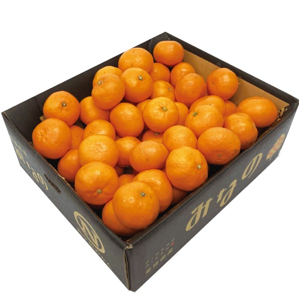 愛媛県産 JAにしうわ みなのみかん S・M・Lサイズ 3kg【お届け期間:11月20日〜12月28日】【MK】　商品画像1