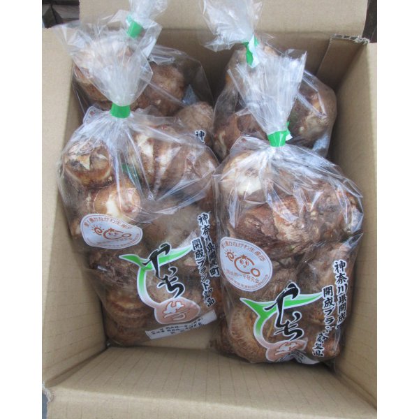 神奈川県開成町 開成弥一芋 1箱2kg(500g袋×4、M〜2Lサイズ)【限定120点】【お届け期間：10月15日〜12月10日】【フードアルチザン】　商品画像1