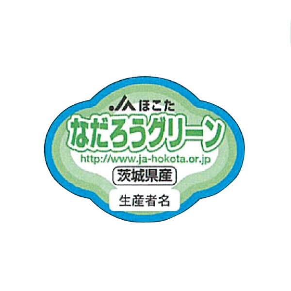 茨城県 JAほこた メロン4種ミックス 3Lサイズ4玉入り(アンデス1玉、クインシー1玉、イバラキング1玉、なだろうグリーン1玉)【お届け期間:6月1日〜6月30日】【KN】　商品画像8