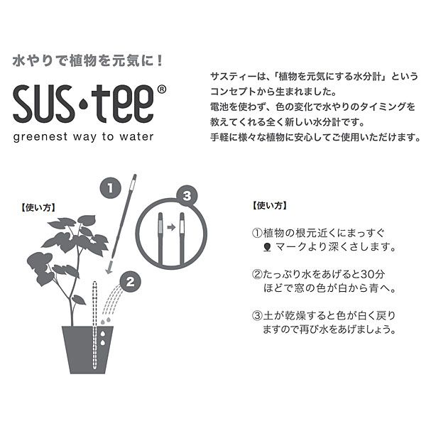 りんどう「青」(SUSTEE付) 【お届け期間：9月13日〜9月16日】【敬老の日】　商品画像3