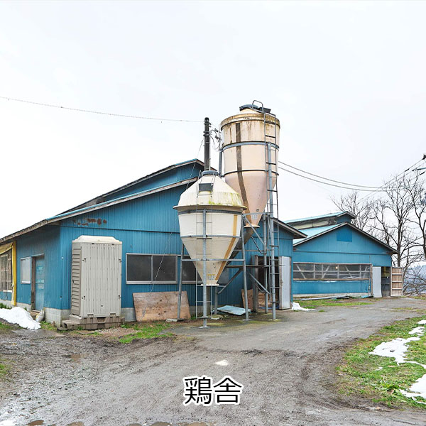 山形県 株式会社半澤鶏卵 半熟燻製たまご スモッち＆スモッちゴールド 20個入りギフト箱入(スモッち,スモッちゴールド各10個)【ブラックフライデー】【ふるさとの味・北関東】　商品画像10