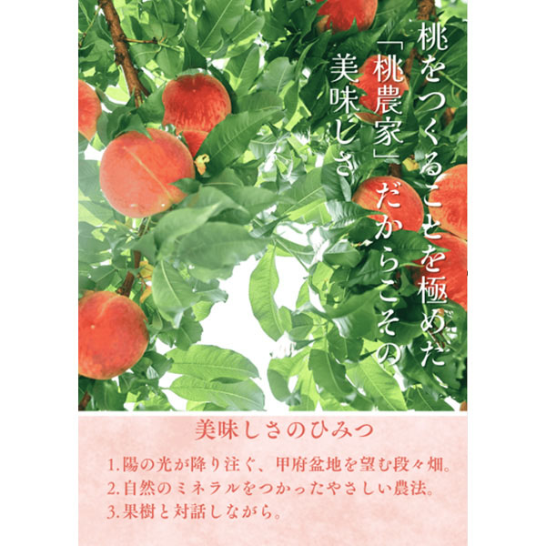 ピーチ専科ヤマシタ カフェラペスカ 6品種の桃のジェラート【おいしいお取り寄せ】　商品画像10