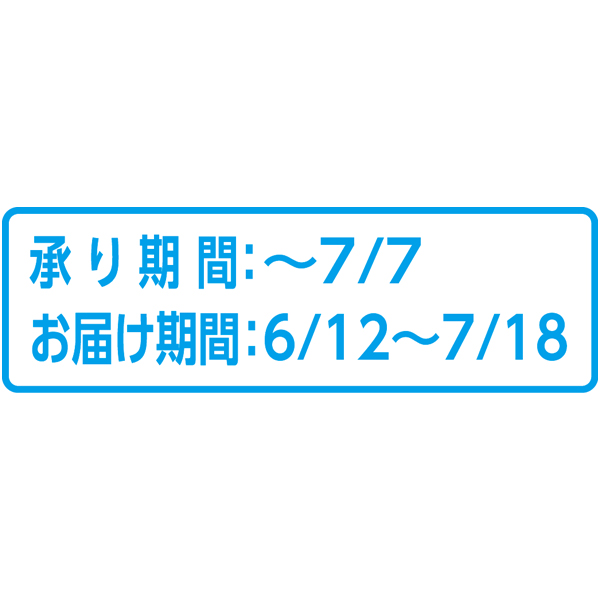 静岡県産(JAしみず) 折戸なす (お届け期間：6/12〜7/18)【夏ギフト・お中元】　商品画像4