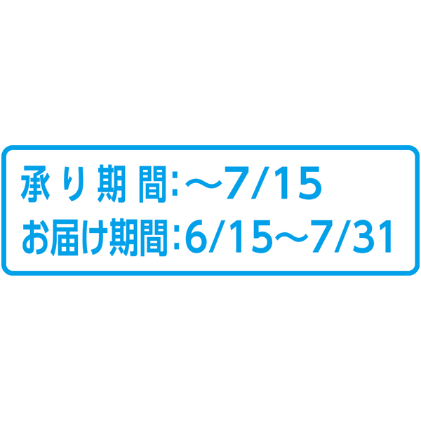 鳥取県産(JA鳥取中央) 大栄すいか4L1個化粧箱 (お届け期間：6/15〜7/31)【夏ギフト・お中元】　商品画像3