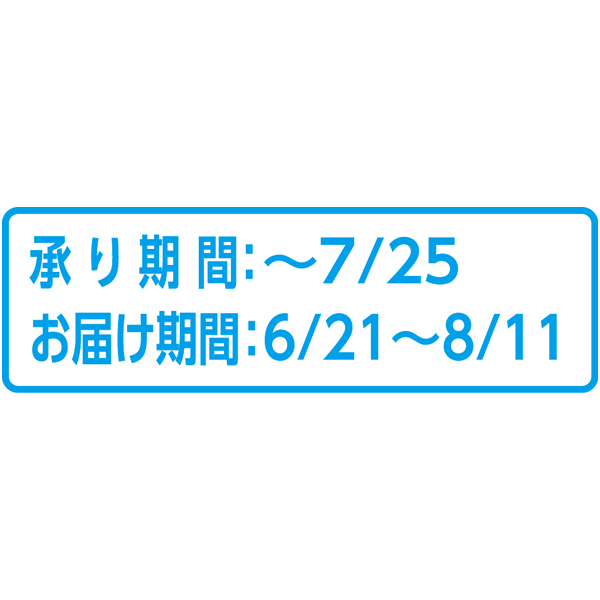 沖縄県産 アップルマンゴー3L 2玉 (お届け期間：6/21〜8/11)【夏ギフト・お中元】　商品画像3