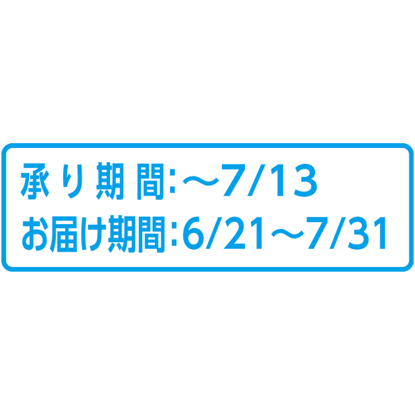 宮崎県産(JA西都) わけありマンゴー (お届け期間：6/21〜7/31)【夏ギフト・お中元】　商品画像1
