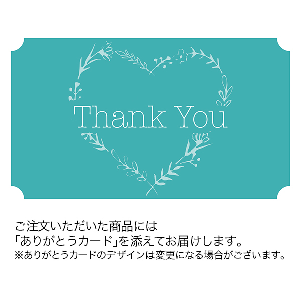 タカハシプランテーション カーネーション「フェアリースマイル」(SUSTEE付)【母の日】　商品画像3
