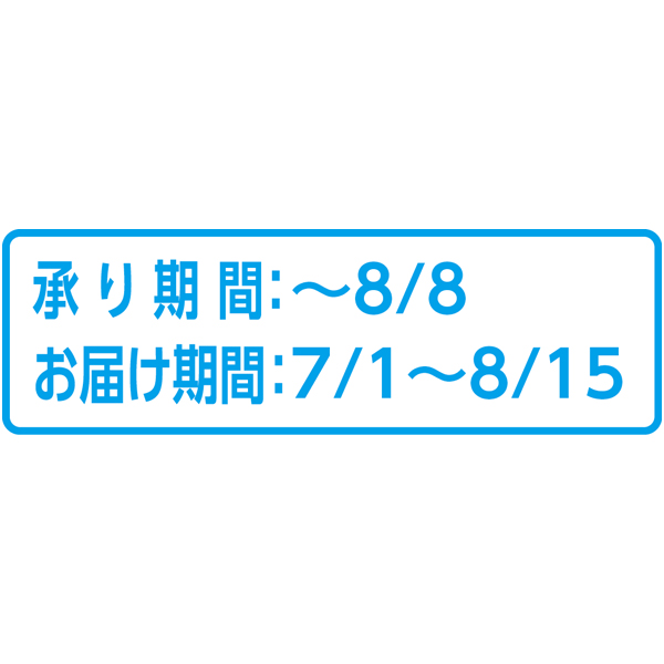 北海道産 富良野メロン 2Lサイズ 2個 (お届け期間：7/1〜8/15)【夏ギフト・お中元】　商品画像2