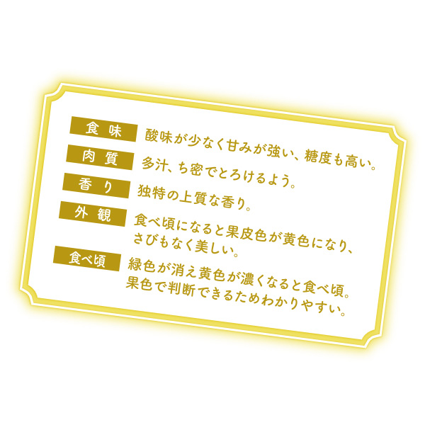 新潟県産(JA新潟かがやき(新潟市南区旧しろね地区))フルーツフラワーしろね ル レクチエ 3.9kg以上(7〜14玉)【お届け期間 11／18〜12／28】【ふるさとの味・北陸信越】　商品画像4