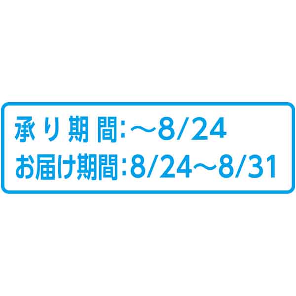 北海道共和町産(JAきょうわ) らいでんメロン 秀品2L1個 (お届け期間：8/24〜8/31)【夏ギフト・お中元】　商品画像2