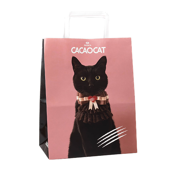 DADACA CACAOCAT缶 CAT チョコレート菓子5個入【お届け期間：1月15日〜2月21日】【バレンタイン】　商品画像8