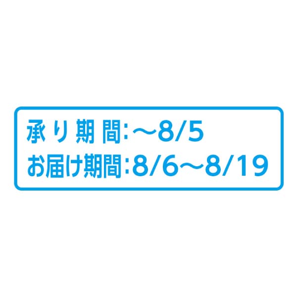 三重県産(農事組合法人 白鳳梨生産組合) 伊賀白鳳梨(幸水梨)秀品 3kg箱(お届け期間：8/6〜8/19)【夏の贈りもの・お中元】　商品画像2