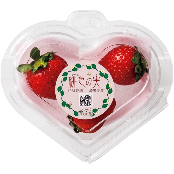 ケーアイ・フレッシュアクセス カーネーション推し色アレンジ(ピンク)といちごのセット【母の日】　商品画像2