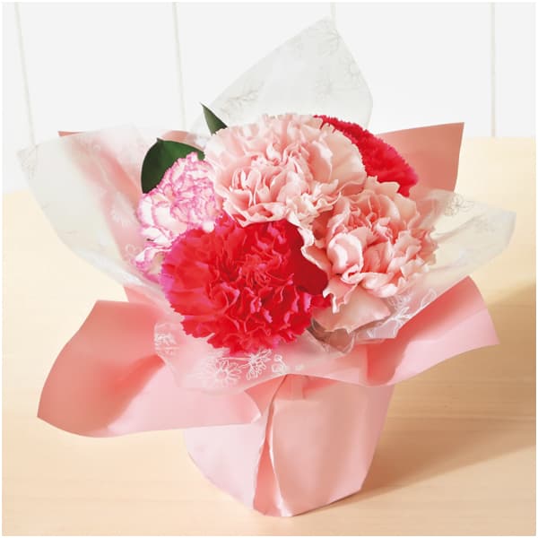 竹中庭園緑化 カーネーションアレンジ＋ひととえ こがね芋【母の日】　商品画像2