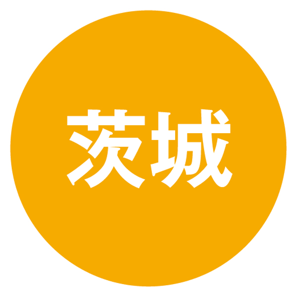 茨城県産 FIELD-LIFE(フィールド・ライフ) 冷やし焼き芋500g 3袋入り(お届け期間:11/11〜12/31)【冬の贈りもの・お歳暮】 商品画像2