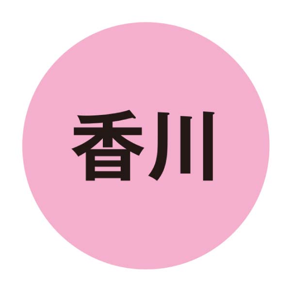 香川県産(JA香川県) 飯南の桃(お届け期間：7/7〜7/31)【夏の贈りもの・お中元】　商品画像2