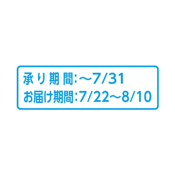 香川県産(JA香川県) シャインマスカット化粧箱(お届け期間：7/22〜8/10)【夏の贈りもの・お中元】　商品画像2