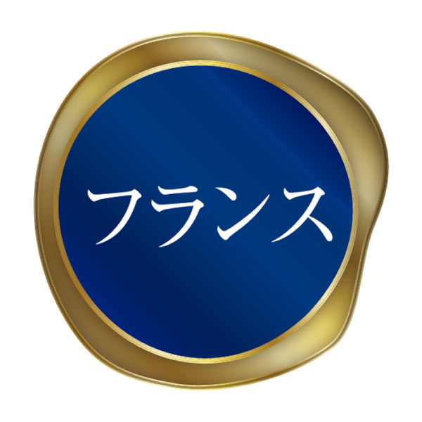 ボルドー飲み頃グランヴァンセット【夏の贈りもの・お中元】[BX-RR2]　商品画像2
