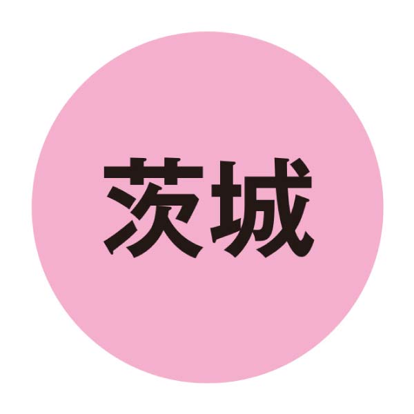 サザコーヒー 将軍冷珈琲6本セット【夏の贈りもの・お中元】[S-059]　商品画像2