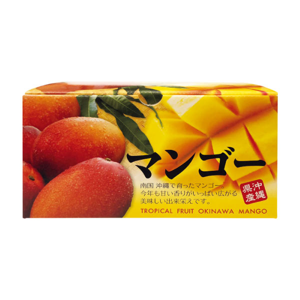 沖縄県産 アップルマンゴー(お届け期間：6/21〜8/10)【夏の贈りもの・お中元】　商品画像2
