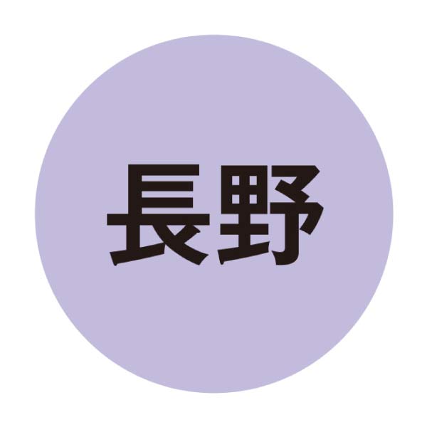 長野県産(松本) シャリうま西瓜(お届け期間：8/1〜8/13)【夏の贈りもの・お中元】　商品画像2