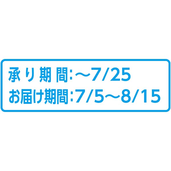 北海道共和町産(JAきょうわ) らいでんメロンプレミアム 秀品2L