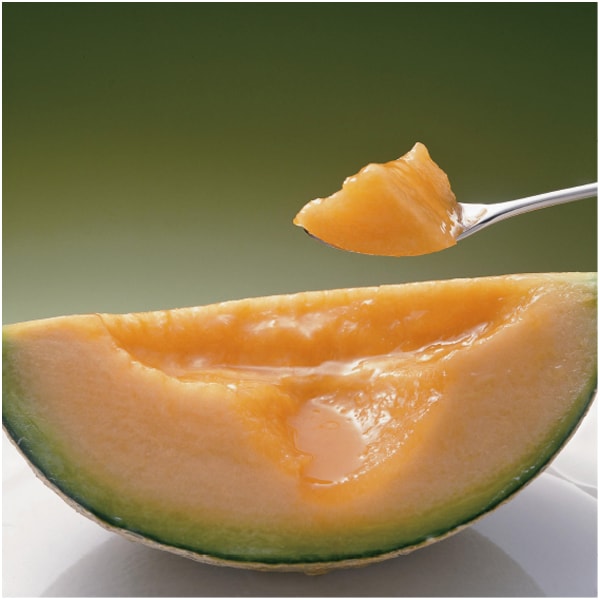 北海道産(JA夕張市) 夕張メロン 秀品2L1玉黒箱【父の日】　商品画像2