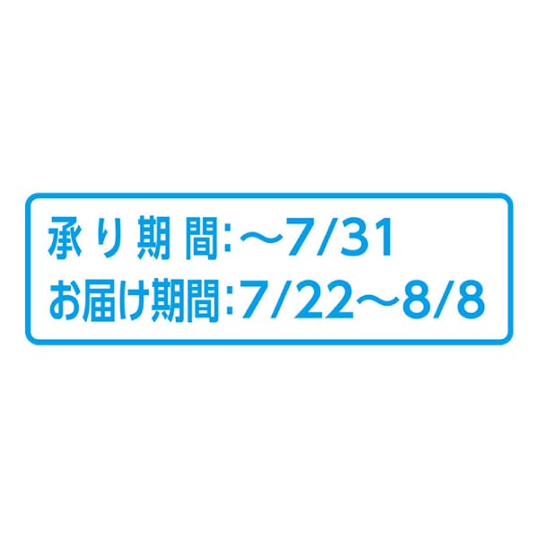 山梨県産 果樹のくに山梨 夏果実の詰合せ(お届け期間：7/22〜8/8)【夏の贈りもの・お中元】[HC-YMP]　商品画像2