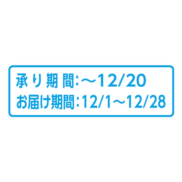 青森県産 葉とらず栽培蜜入りサンふじりんご (お届け期間：12/1〜12/28)【冬ギフト・お歳暮】　商品画像2