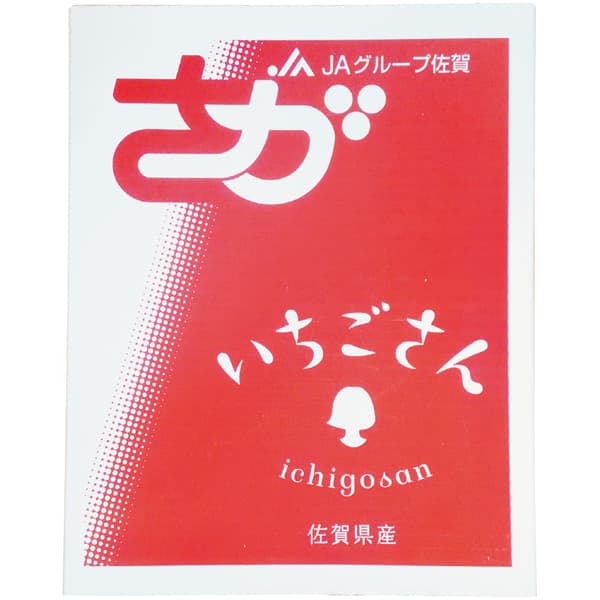 佐賀県産 いちごさん苺 2パック（1パック8〜12個 計220g以上）(お届け