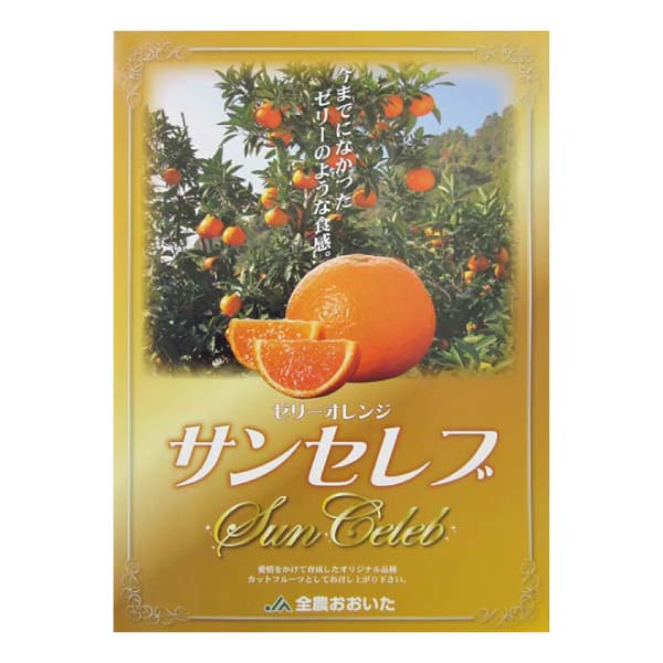 大分県産 ゼリーオレンジ・サンセレブ(お届け期間：11/25〜12/31)【冬の贈りもの・お歳暮】　商品画像2