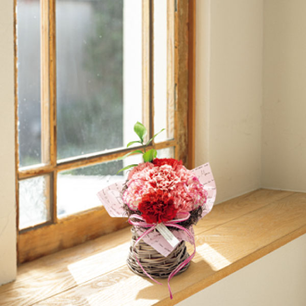 welzo flower 花瓶のついたカーネーションブーケ「フルーリ」 【母の日】　商品画像2