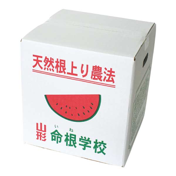 山形県村山市産(門脇農園) 殆どタネのないすいか「ブラックジャック」(お届け期間：7/15〜8/15)【夏の贈りもの・お中元】　商品画像2
