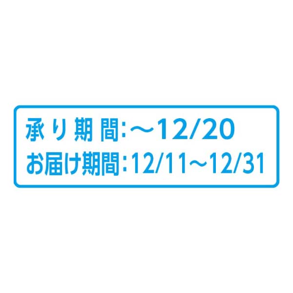 山形県産(東根市) はるかりんご(蜜入り)(お届け期間：12/11〜12/31)【冬の贈りもの・お歳暮】　商品画像2