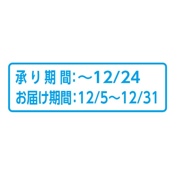 タカハシプランテーション シクラメン「ジックス」レッド 6号(SUStee付)(お届け期間:12/5〜12/31)【冬の贈りもの・お歳暮】 商品画像2