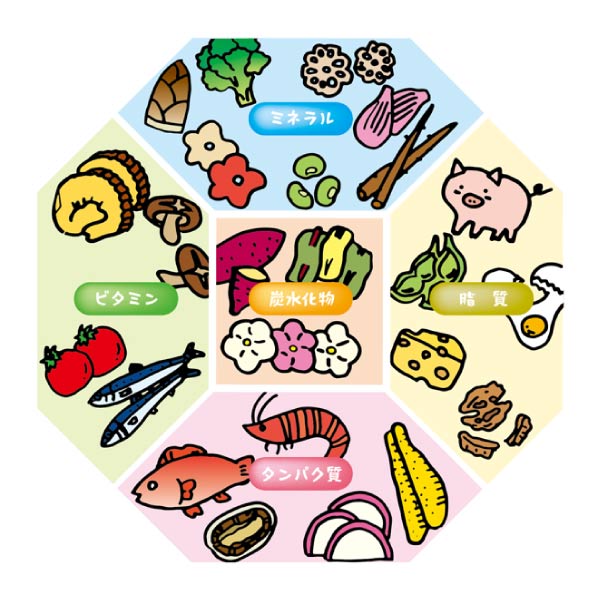 和洋一段重「五大栄養素がバランスよく摂れるおせち」【2〜3人前・32品目】【イオンのおせち】　商品画像2