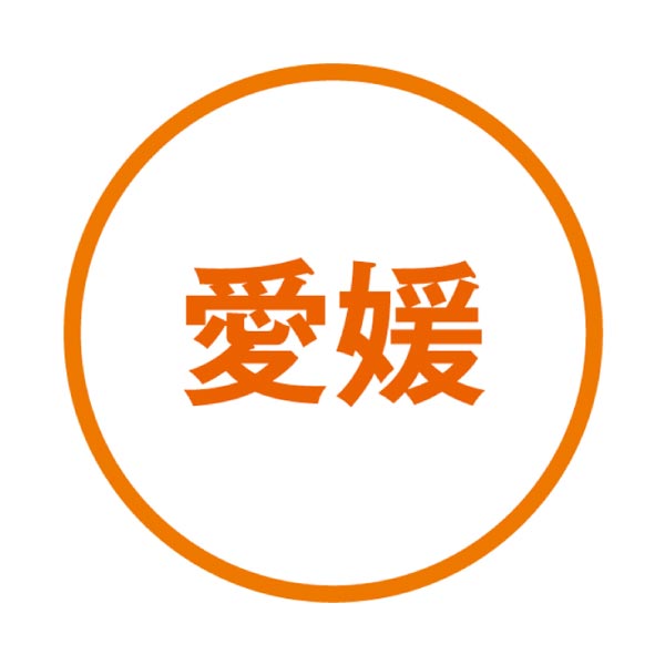 ミヤモトオレンジガーデン 外皮なし むき冷凍みかん【夏の贈りもの・お中元】　商品画像2