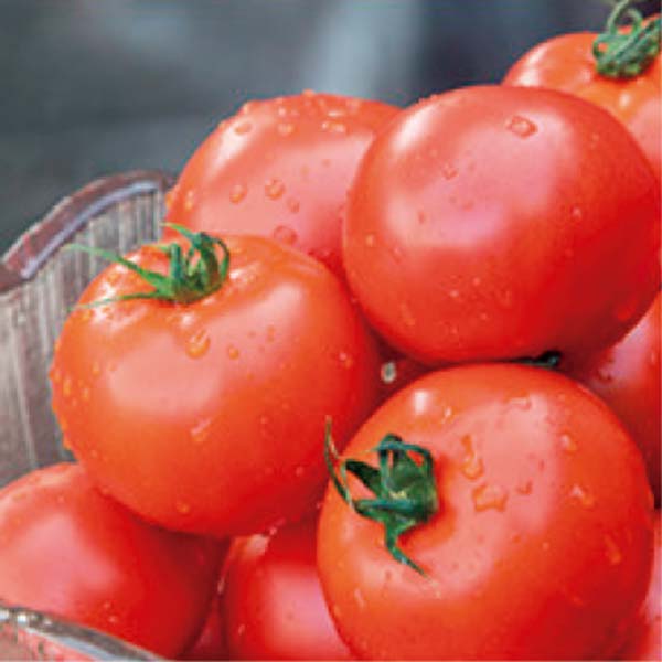 熊本県産 小森ファームのまいひめ物語(プレミアムトマト)セット(お届け期間：12/1〜12/31)【冬の贈りもの・お歳暮】　商品画像2