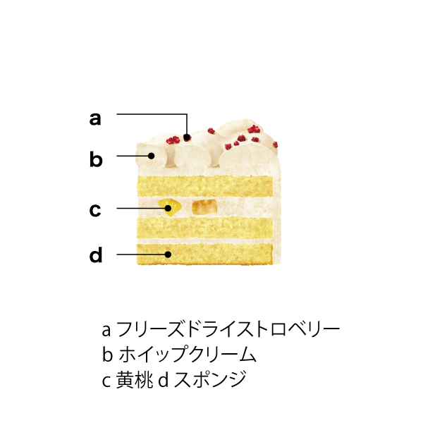 4種のクリスマスアソート【イオンのクリスマス】 商品画像2