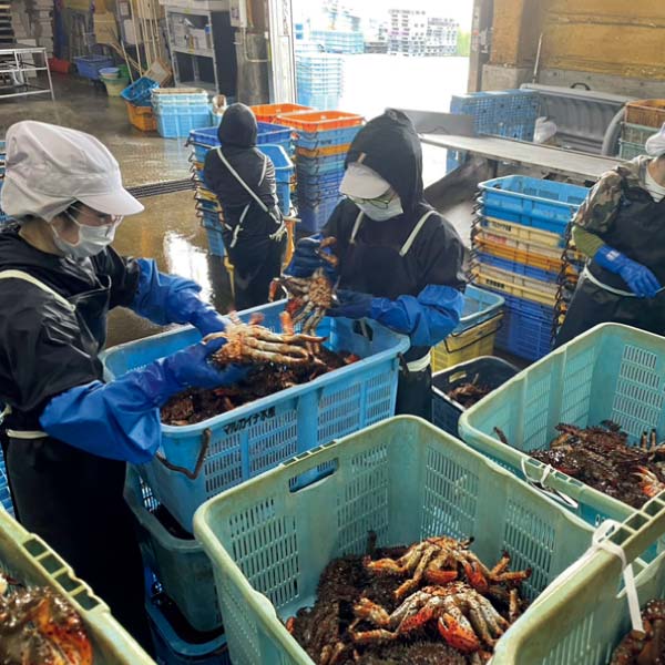 キョクイチフーズ 北海道産 3種のかに食べくらべ【冬の贈りもの・お歳暮】　商品画像2