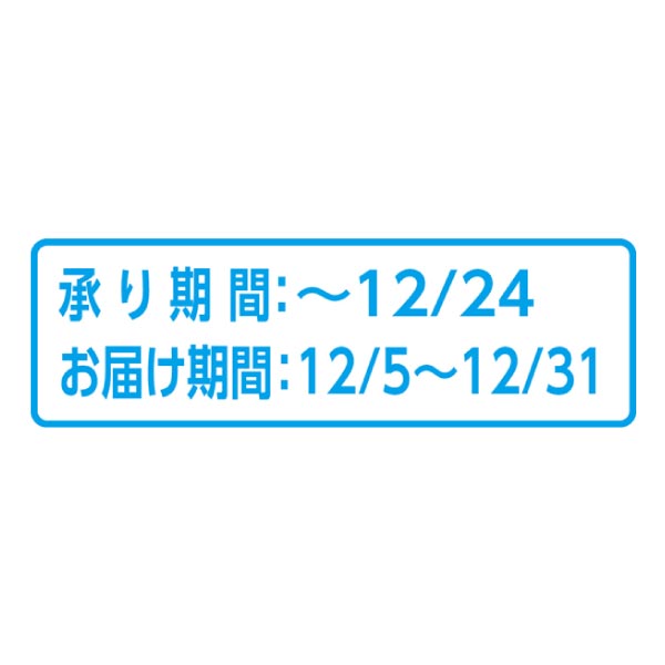 岩手県産(JA江刺) サンふじりんご (お届け期間：12/5〜12/31)【冬ギフト・お歳暮】　商品画像2