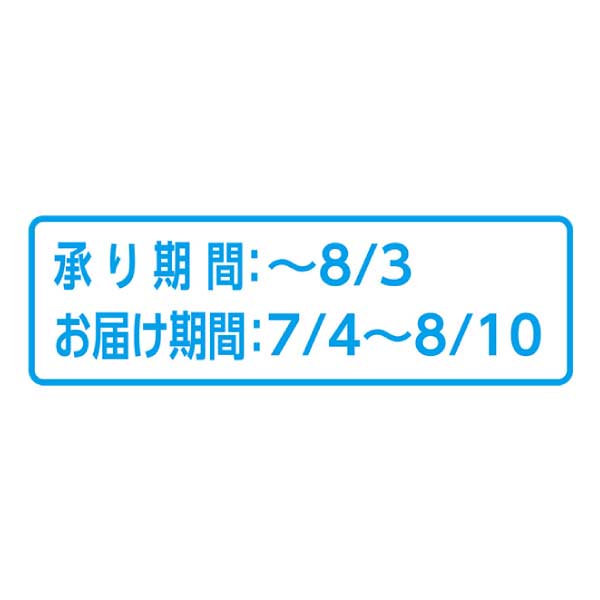 山梨県産(フルーツ山梨) 山梨の桃(お届け期間：7/4〜8/10)【夏の贈りもの・お中元】　商品画像1
